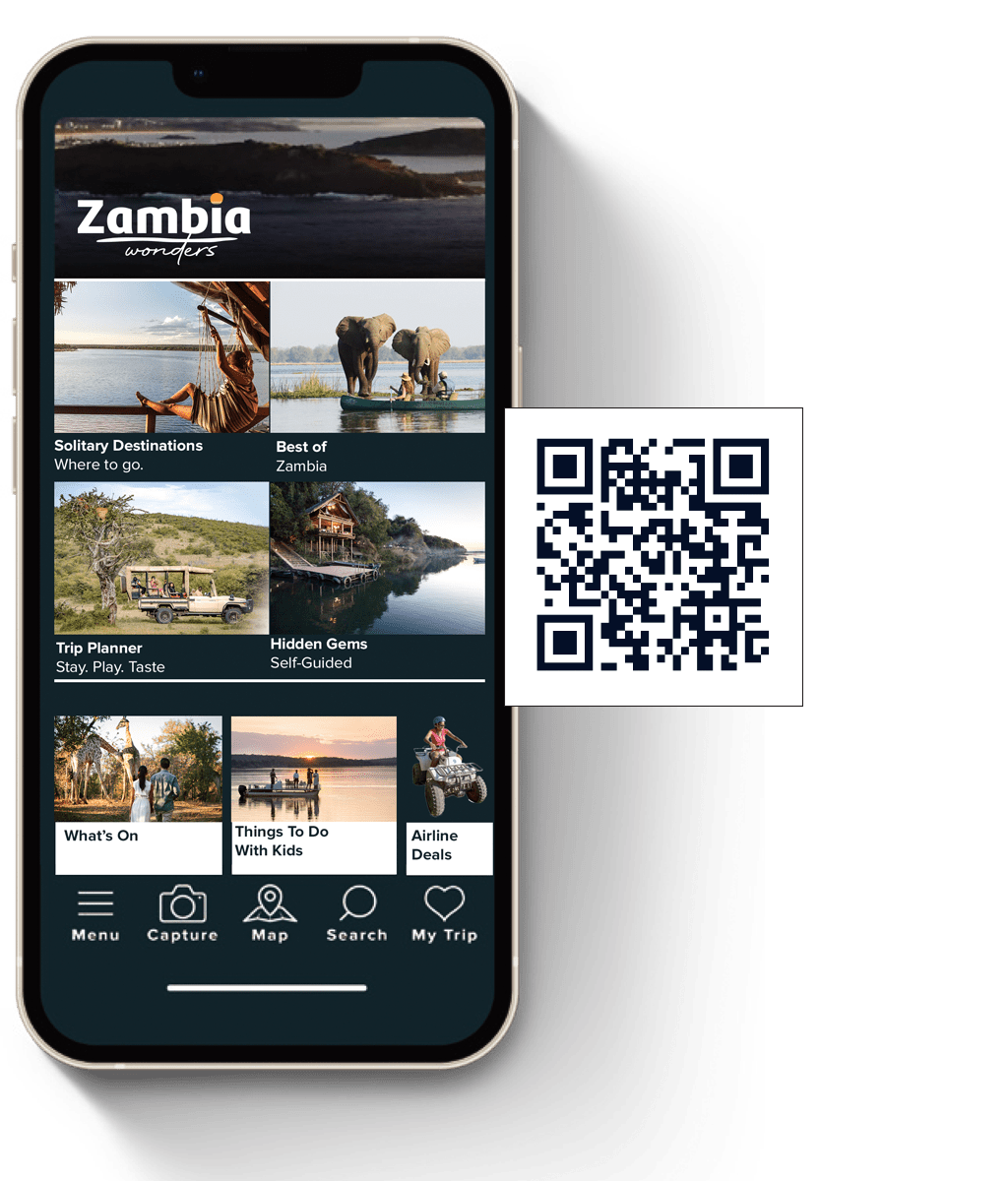 Mobile App Screenshot