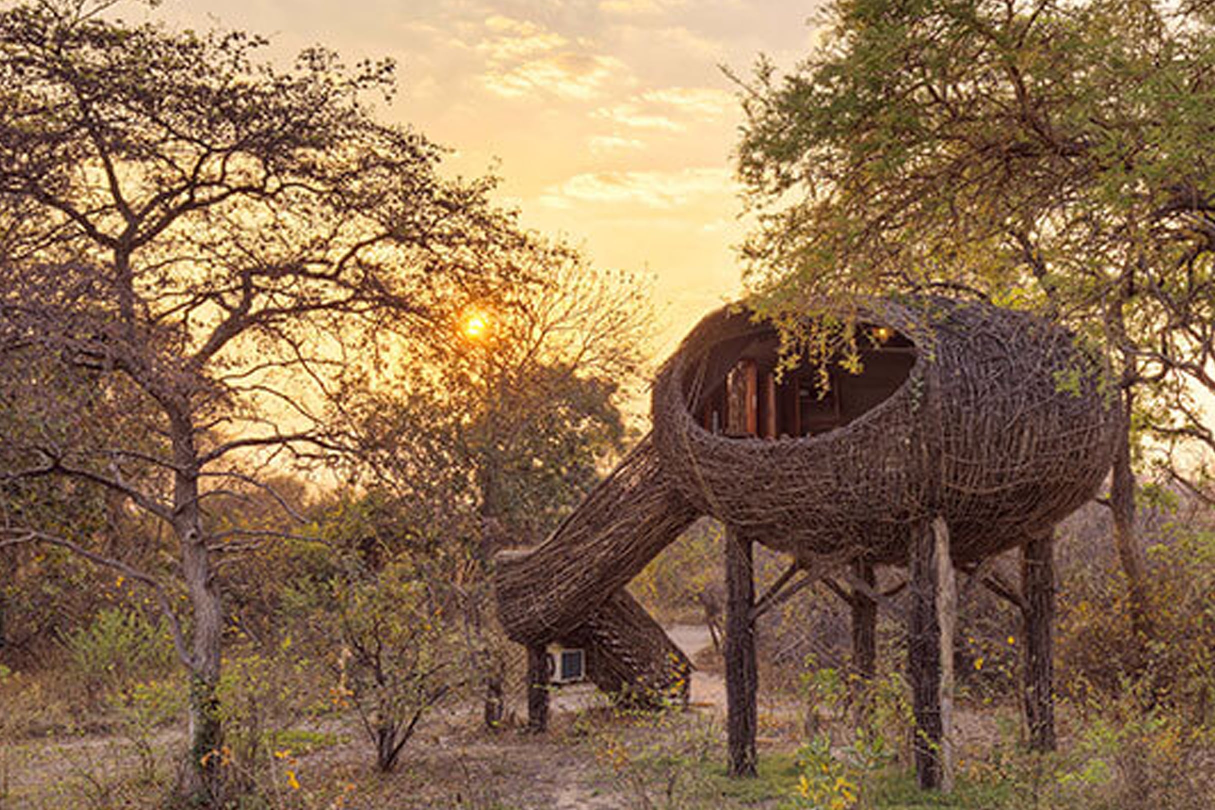 Zambian Wildlife Safari