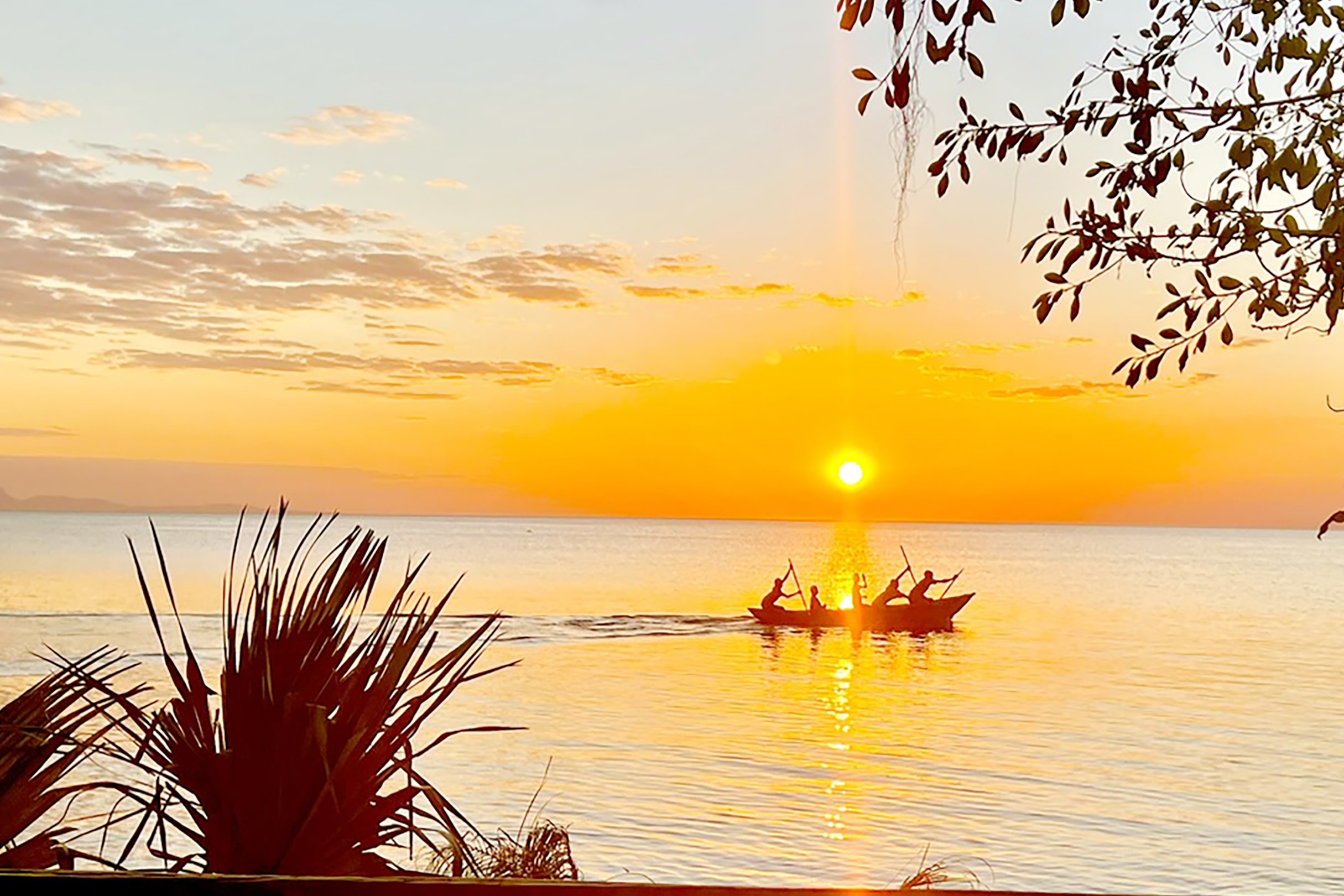 Zambian Wildlife Safari